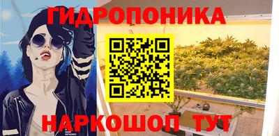 СК Пенза