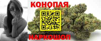 apvp Партизанск