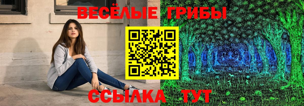 Псилоцибиновые грибы Psilocybe  Вход с VPN  Нягань 